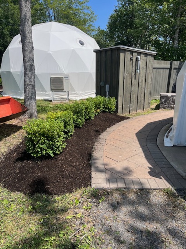 Example of our work (mulch)