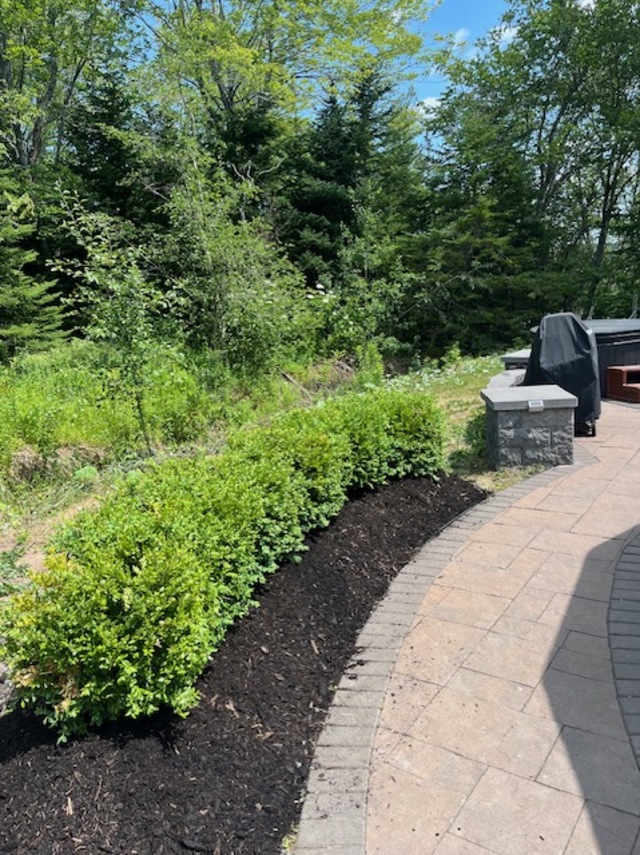 Example of our work (mulch)